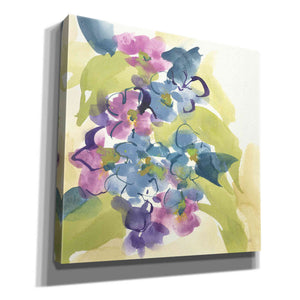 'Spring Bouquet II' by Chris Paschke, Giclee Canvas Wall Art