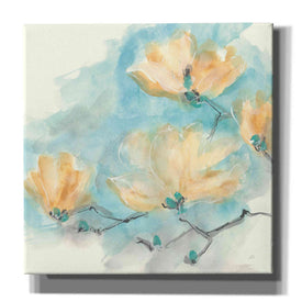 'Teal Buds III' by Chris Paschke, Giclee Canvas Wall Art