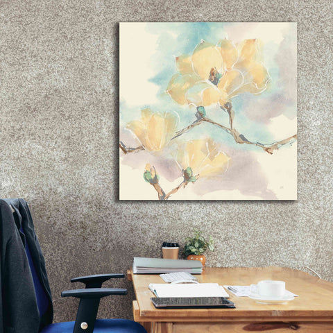 Image of 'Magnolias In White I' by Chris Paschke, Giclee Canvas Wall Art,37 x 37
