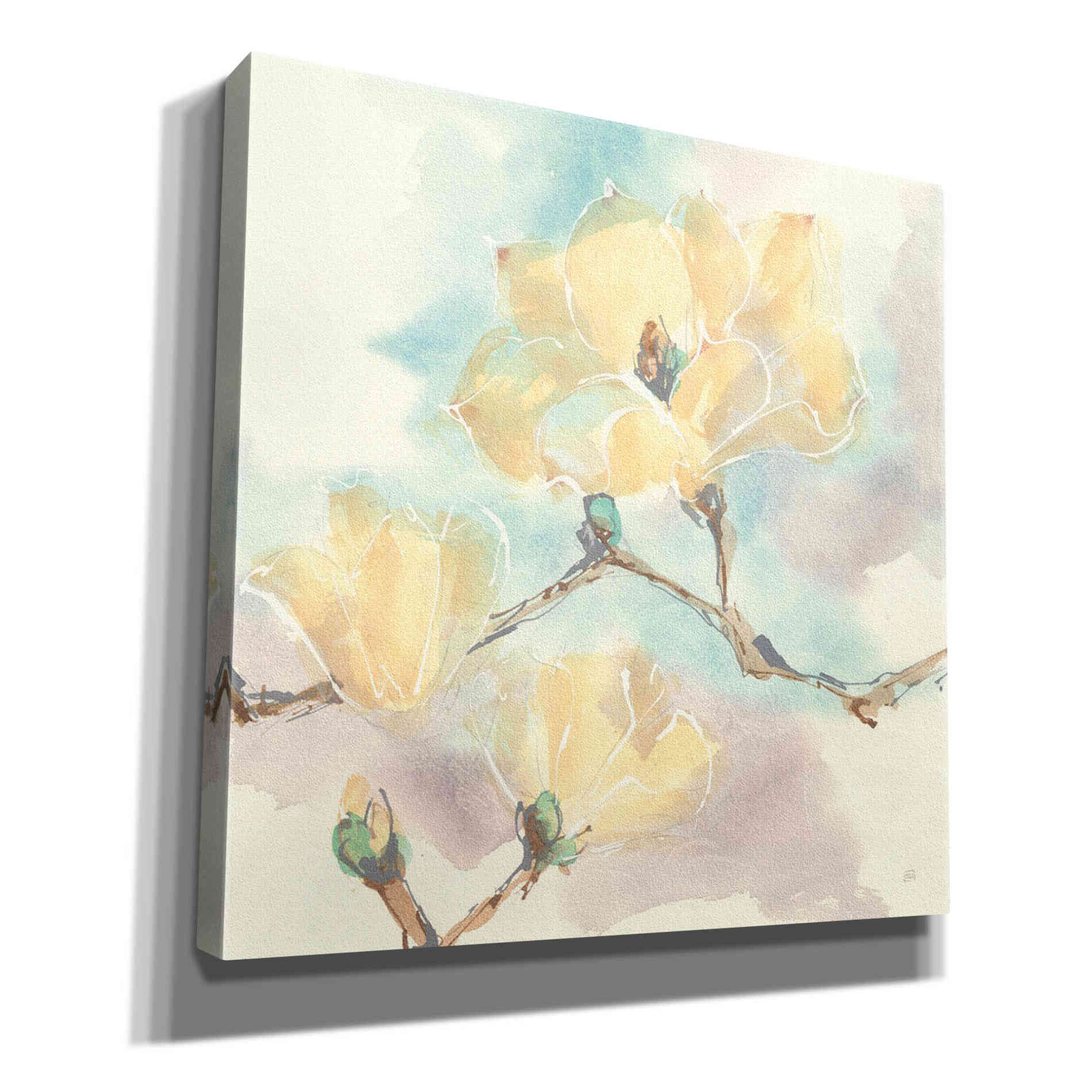 'Magnolias In White I' by Chris Paschke, Giclee Canvas Wall Art