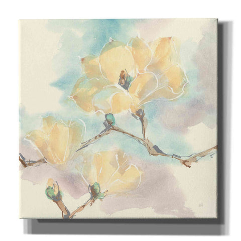 Image of 'Magnolias In White I' by Chris Paschke, Giclee Canvas Wall Art
