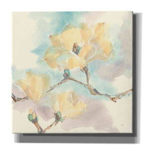 'Magnolias In White I' by Chris Paschke, Giclee Canvas Wall Art