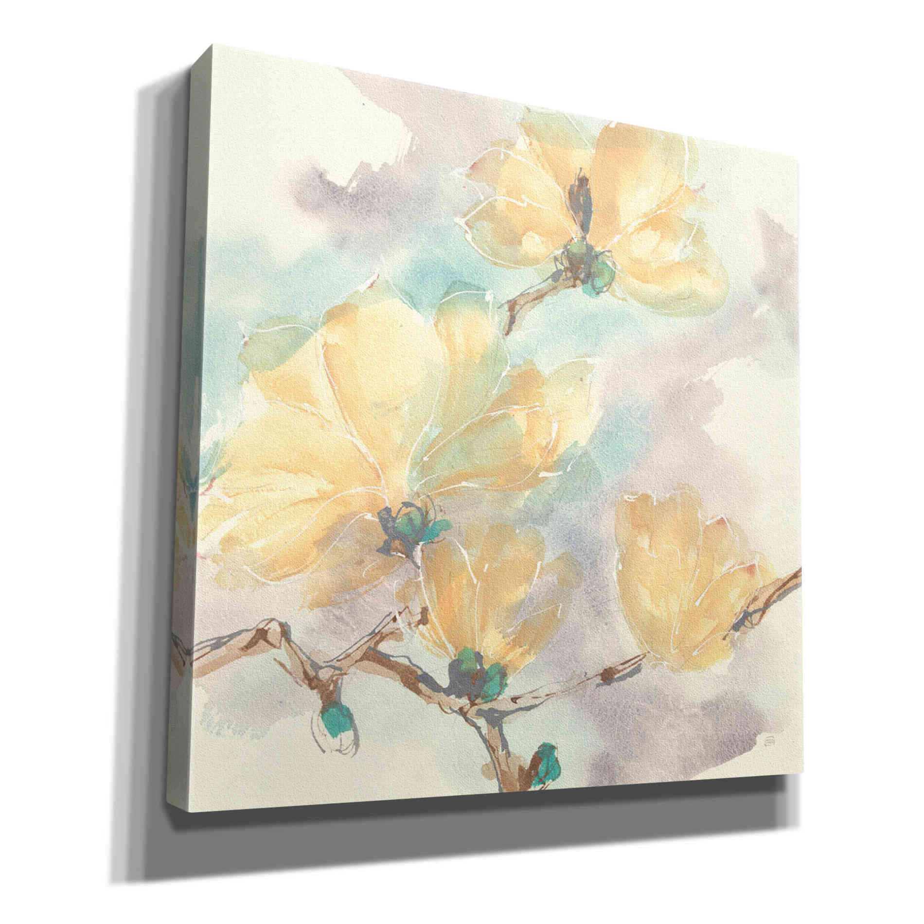 'Magnolias In White II' by Chris Paschke, Giclee Canvas Wall Art