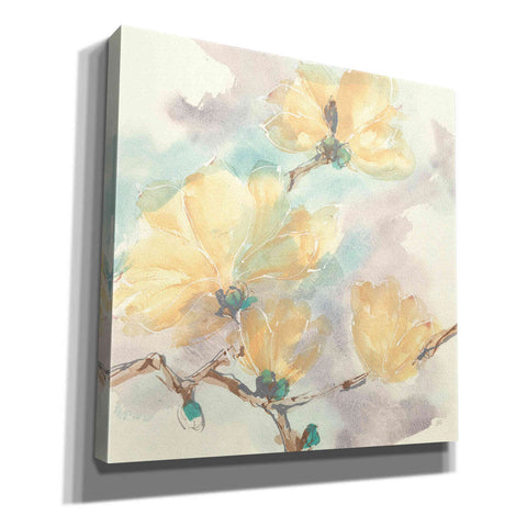 Image of 'Magnolias In White II' by Chris Paschke, Giclee Canvas Wall Art