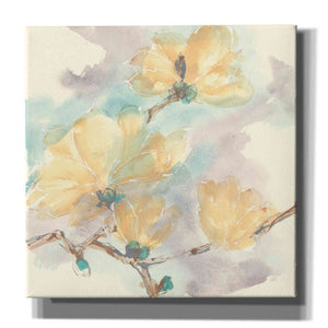 'Magnolias In White II' by Chris Paschke, Giclee Canvas Wall Art