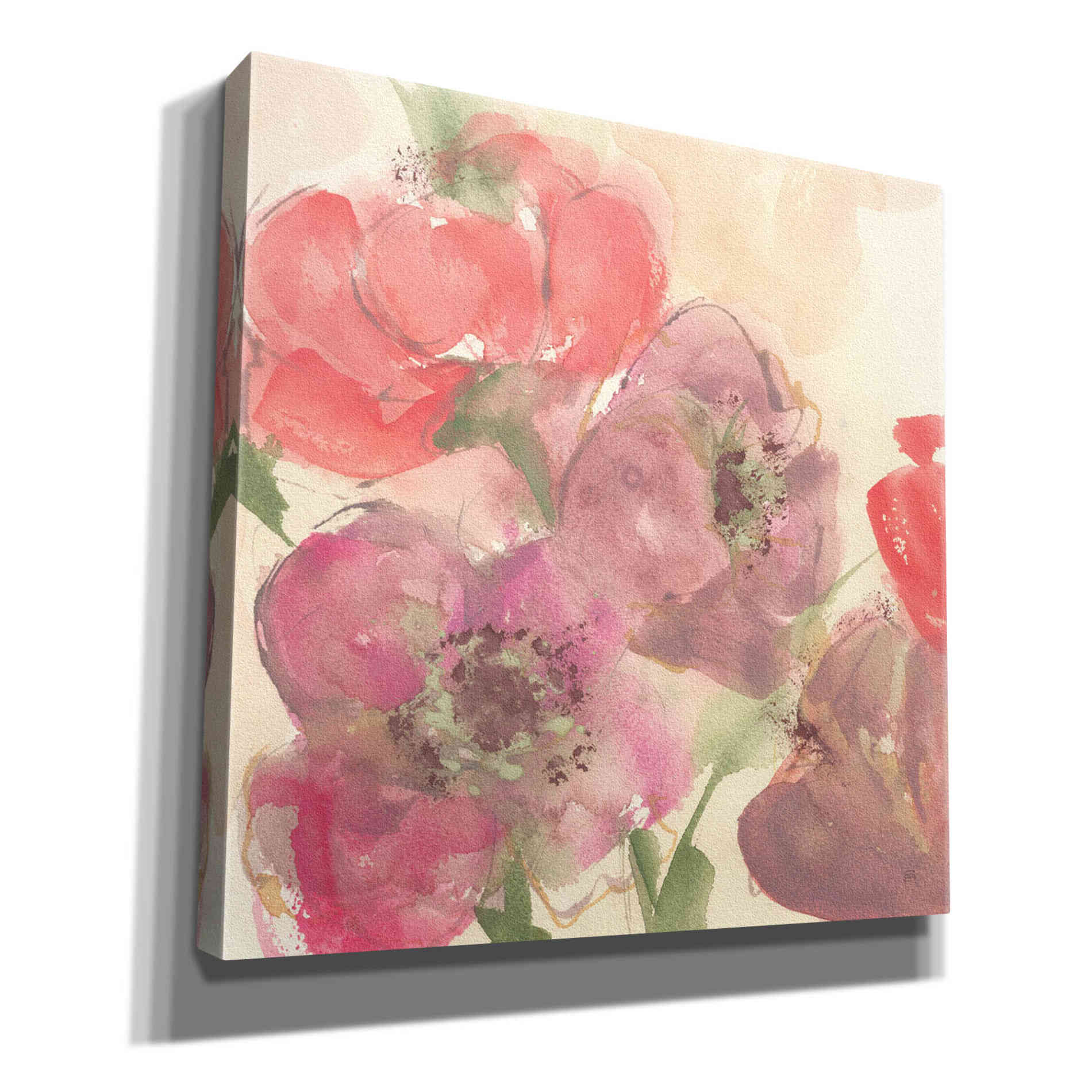 'Coral Blooms II' by Chris Paschke, Giclee Canvas Wall Art