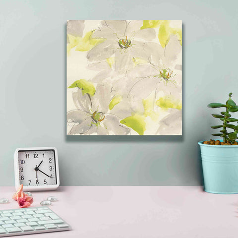 Image of 'Dancing Clematis I' by Chris Paschke, Giclee Canvas Wall Art,12 x 12