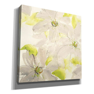 'Dancing Clematis I' by Chris Paschke, Giclee Canvas Wall Art