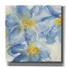 'Tinted Clematis I' by Chris Paschke, Giclee Canvas Wall Art