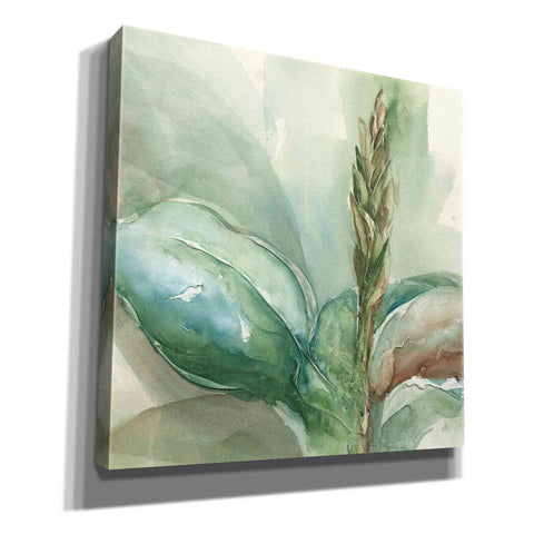 Image of 'Exotic Flower I' by Chris Paschke, Giclee Canvas Wall Art