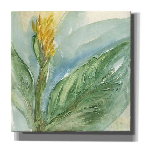 Image of 'Exotic Flower II' by Chris Paschke, Giclee Canvas Wall Art