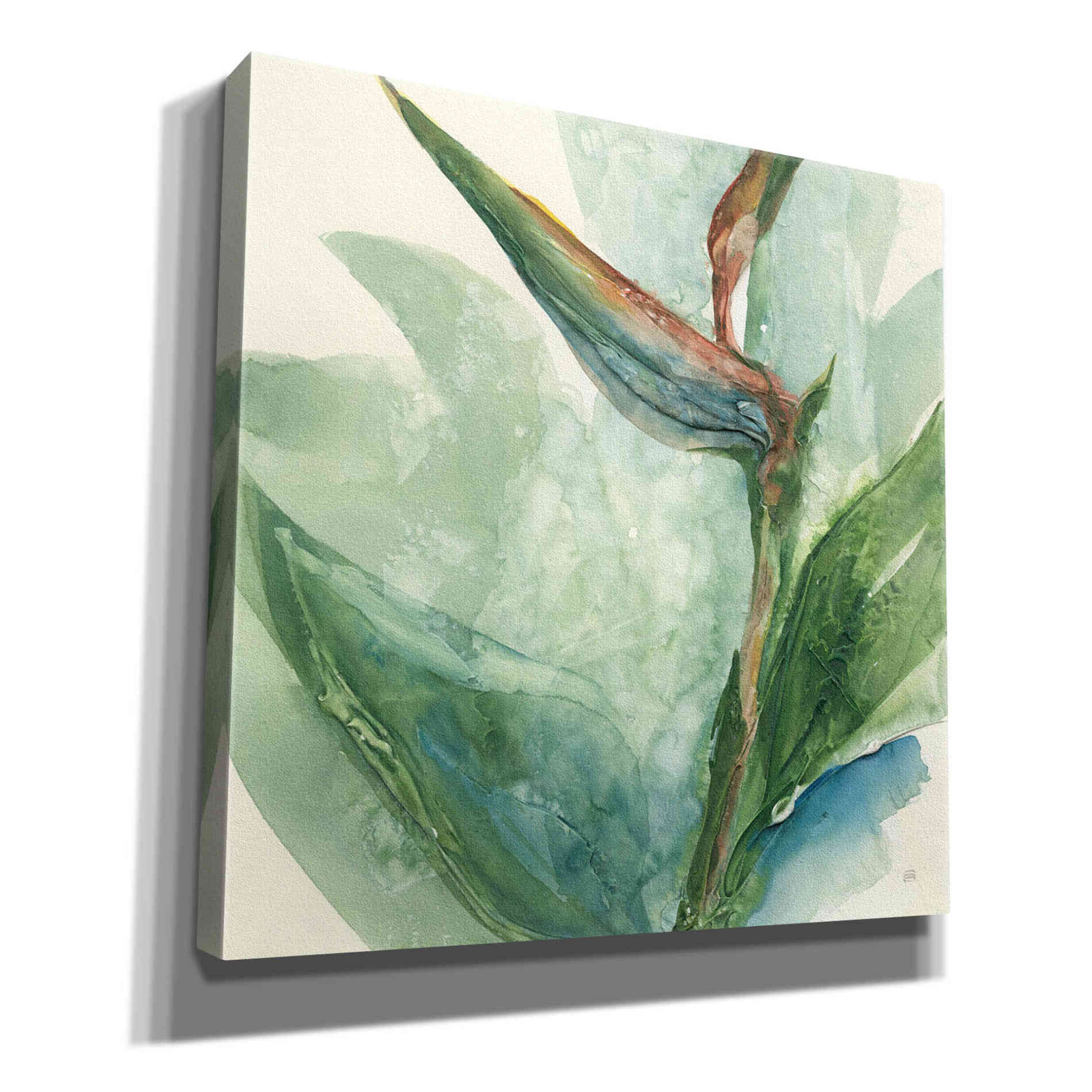 'Exotic Flower III' by Chris Paschke, Giclee Canvas Wall Art