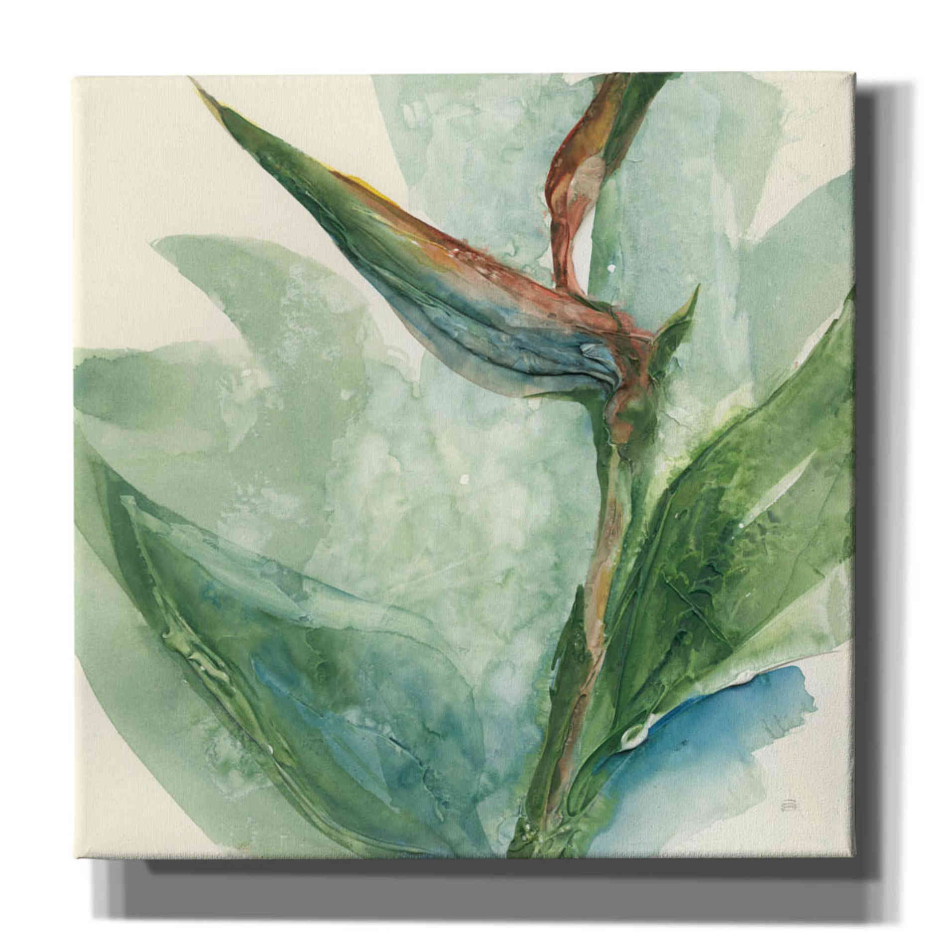 'Exotic Flower III' by Chris Paschke, Giclee Canvas Wall Art