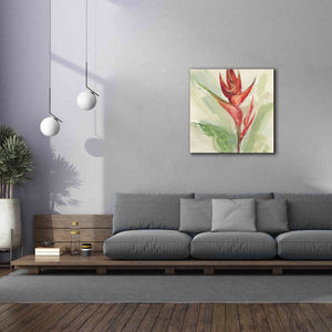 'Exotic Flower IV' by Chris Paschke, Giclee Canvas Wall Art,37 x 37