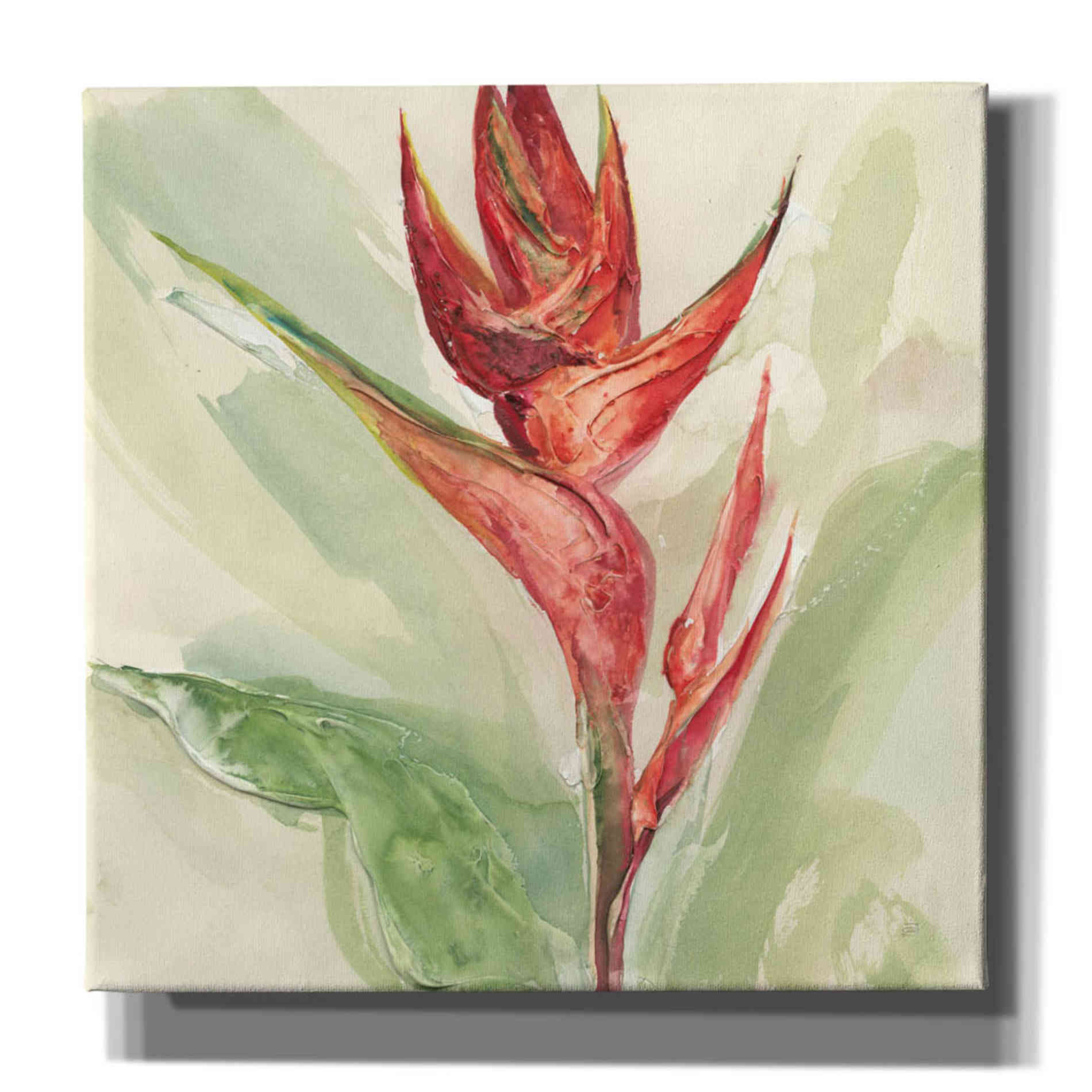 'Exotic Flower IV' by Chris Paschke, Giclee Canvas Wall Art