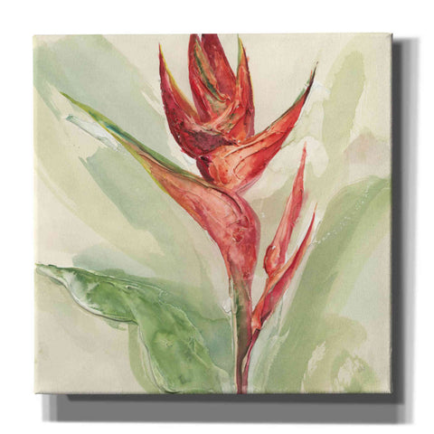 Image of 'Exotic Flower IV' by Chris Paschke, Giclee Canvas Wall Art