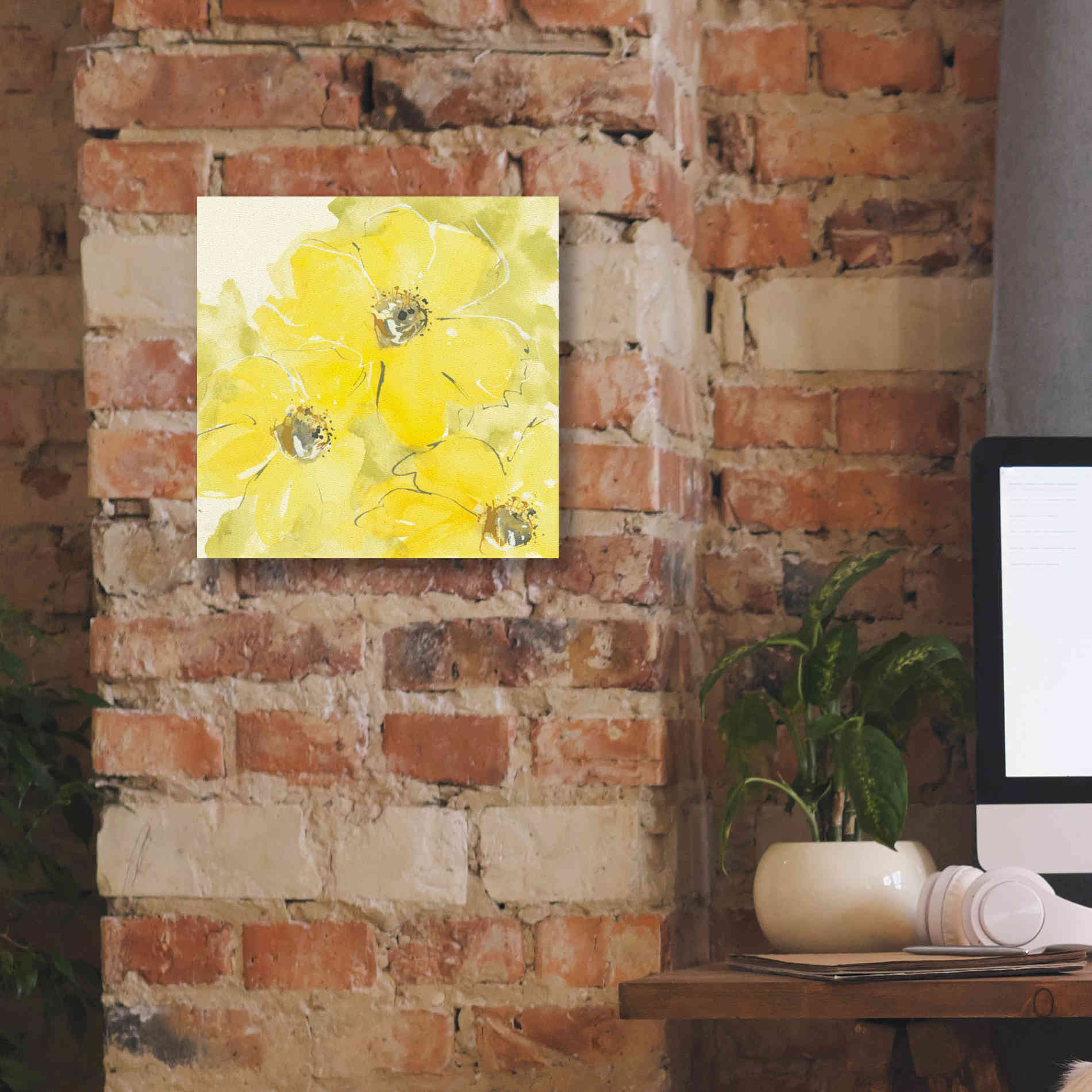 'Sunshine Cosmos I' by Chris Paschke, Giclee Canvas Wall Art,12 x 12