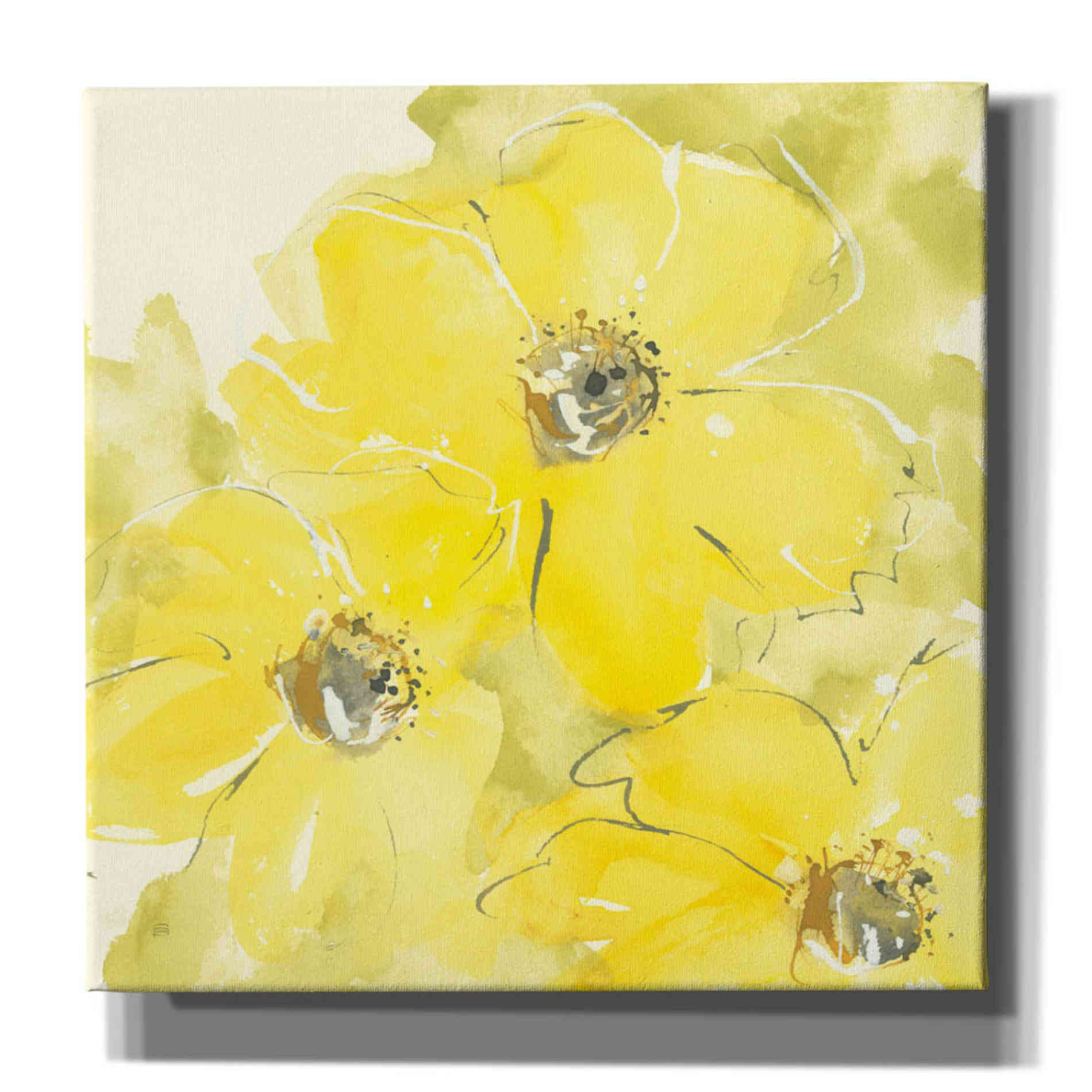 'Sunshine Cosmos I' by Chris Paschke, Giclee Canvas Wall Art