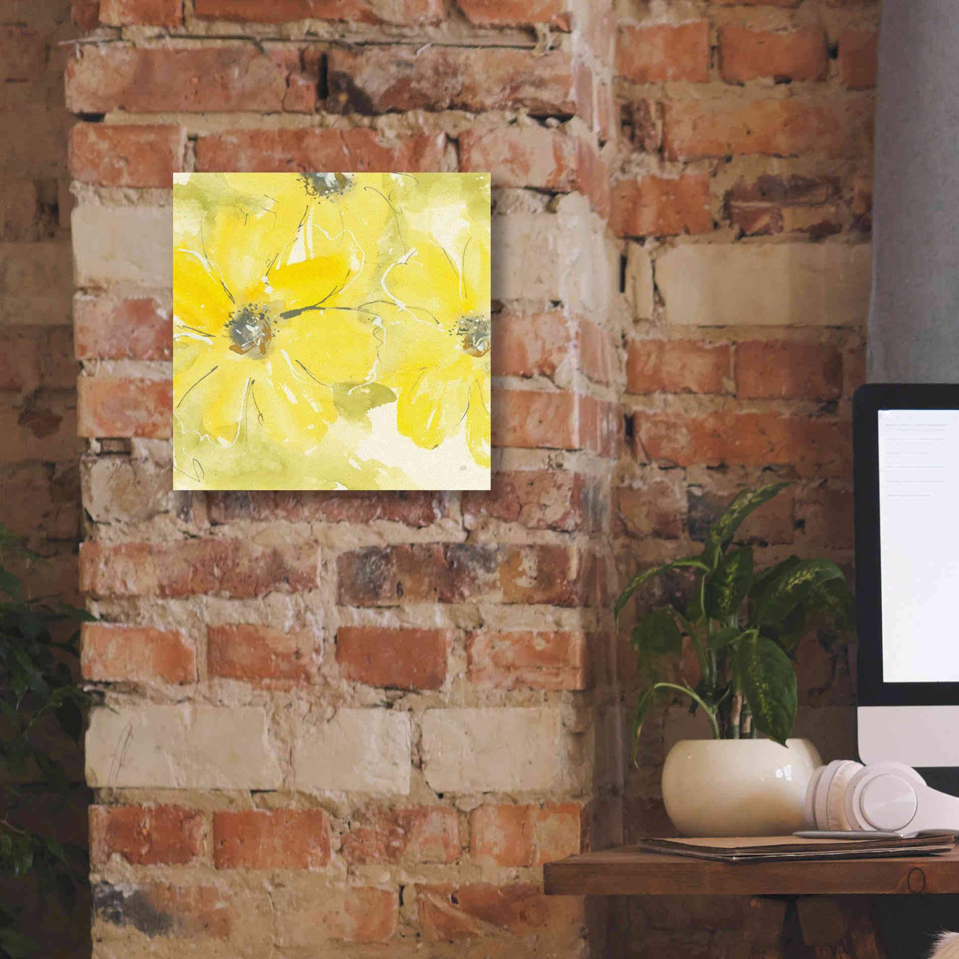 'Sunshine Cosmos II' by Chris Paschke, Giclee Canvas Wall Art,12 x 12