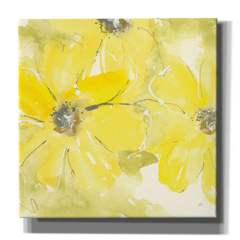 Image of 'Sunshine Cosmos II' by Chris Paschke, Giclee Canvas Wall Art