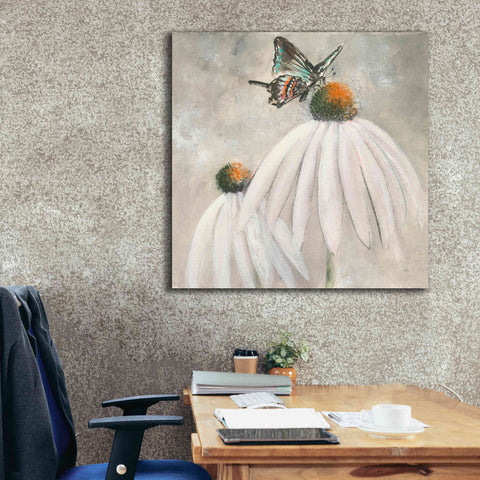 Image of 'Butterflies Are Free I' by Chris Paschke, Giclee Canvas Wall Art,37 x 37