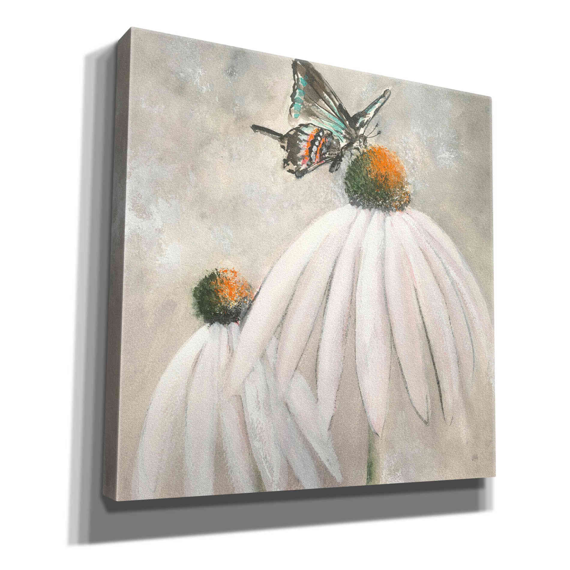 'Butterflies Are Free I' by Chris Paschke, Giclee Canvas Wall Art