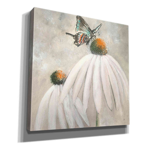 Image of 'Butterflies Are Free I' by Chris Paschke, Giclee Canvas Wall Art
