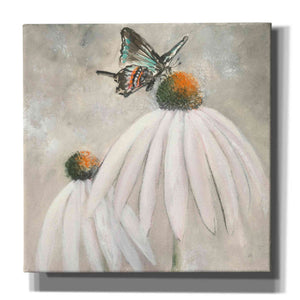 'Butterflies Are Free I' by Chris Paschke, Giclee Canvas Wall Art