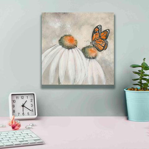 Image of 'Butterflies Are Free II' by Chris Paschke, Giclee Canvas Wall Art,12 x 12