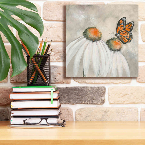 Image of 'Butterflies Are Free II' by Chris Paschke, Giclee Canvas Wall Art,12 x 12