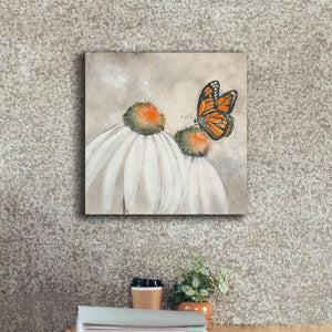 'Butterflies Are Free II' by Chris Paschke, Giclee Canvas Wall Art,18 x 18