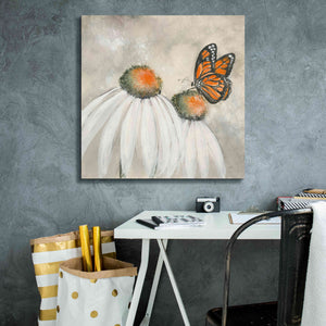 'Butterflies Are Free II' by Chris Paschke, Giclee Canvas Wall Art,26 x 26
