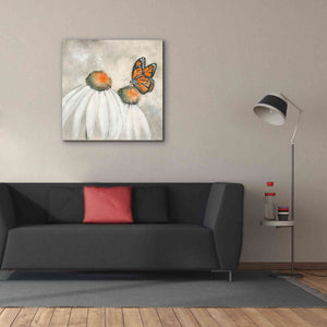 'Butterflies Are Free II' by Chris Paschke, Giclee Canvas Wall Art,37 x 37