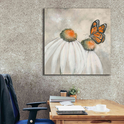 Image of 'Butterflies Are Free II' by Chris Paschke, Giclee Canvas Wall Art,37 x 37