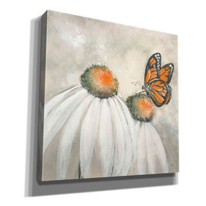 'Butterflies Are Free II' by Chris Paschke, Giclee Canvas Wall Art