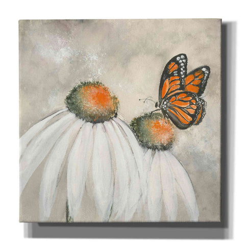 Image of 'Butterflies Are Free II' by Chris Paschke, Giclee Canvas Wall Art