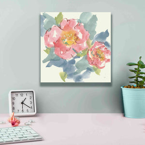 'Peony In The Pink I' by Chris Paschke, Giclee Canvas Wall Art,12 x 12