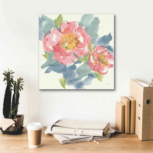'Peony In The Pink I' by Chris Paschke, Giclee Canvas Wall Art,18 x 18