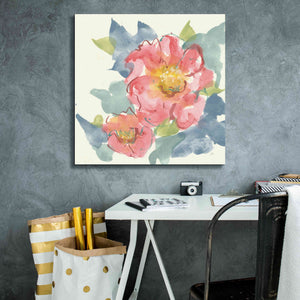 'Peony In The Pink II' by Chris Paschke, Giclee Canvas Wall Art,26 x 26