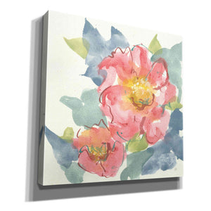 'Peony In The Pink II' by Chris Paschke, Giclee Canvas Wall Art