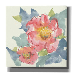 'Peony In The Pink II' by Chris Paschke, Giclee Canvas Wall Art