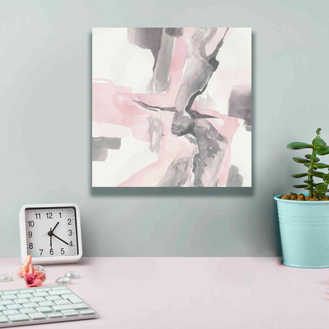 Image of 'Blushing Grey I' by Chris Paschke, Giclee Canvas Wall Art,12 x 12