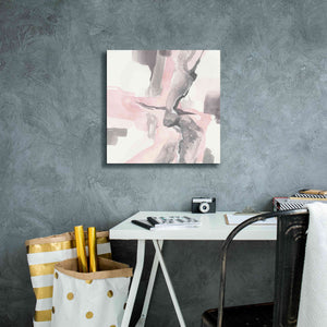 'Blushing Grey I' by Chris Paschke, Giclee Canvas Wall Art,18 x 18