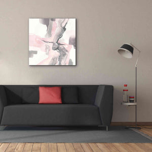 'Blushing Grey I' by Chris Paschke, Giclee Canvas Wall Art,37 x 37
