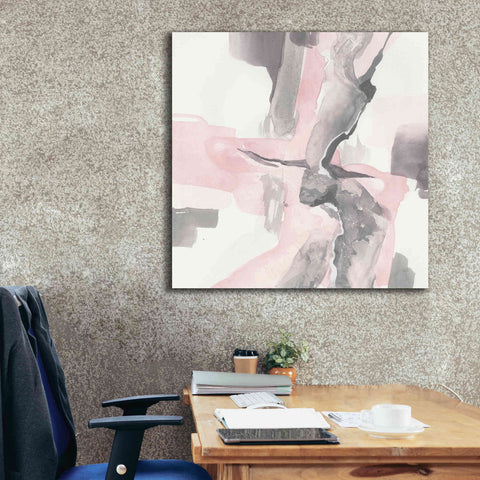 Image of 'Blushing Grey I' by Chris Paschke, Giclee Canvas Wall Art,37 x 37