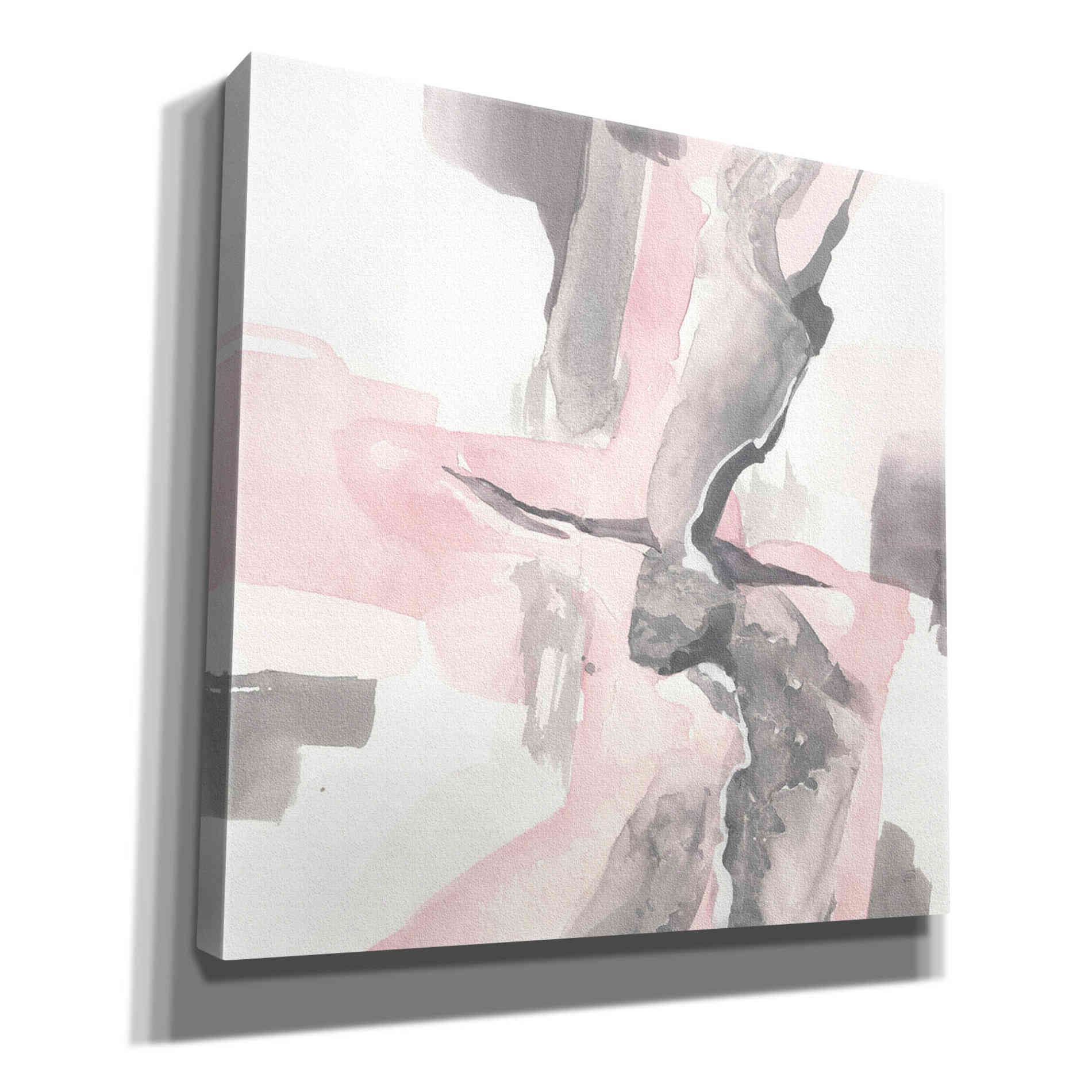 'Blushing Grey I' by Chris Paschke, Giclee Canvas Wall Art