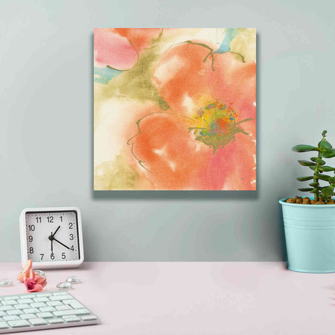 Image of 'Coral Poppy I' by Chris Paschke, Giclee Canvas Wall Art,12 x 12