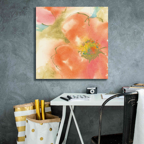 Image of 'Coral Poppy I' by Chris Paschke, Giclee Canvas Wall Art,26 x 26