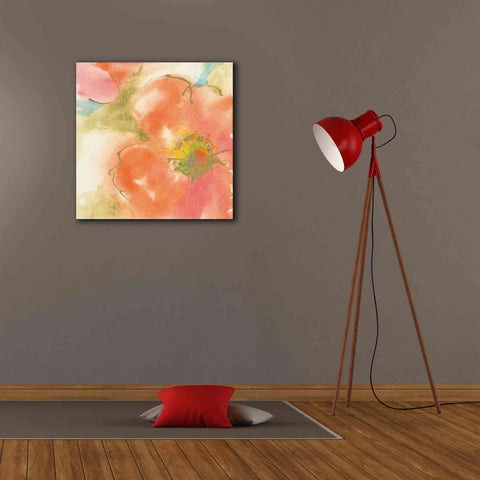 Image of 'Coral Poppy I' by Chris Paschke, Giclee Canvas Wall Art,26 x 26