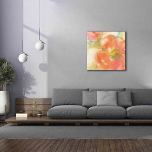 'Coral Poppy I' by Chris Paschke, Giclee Canvas Wall Art,37 x 37